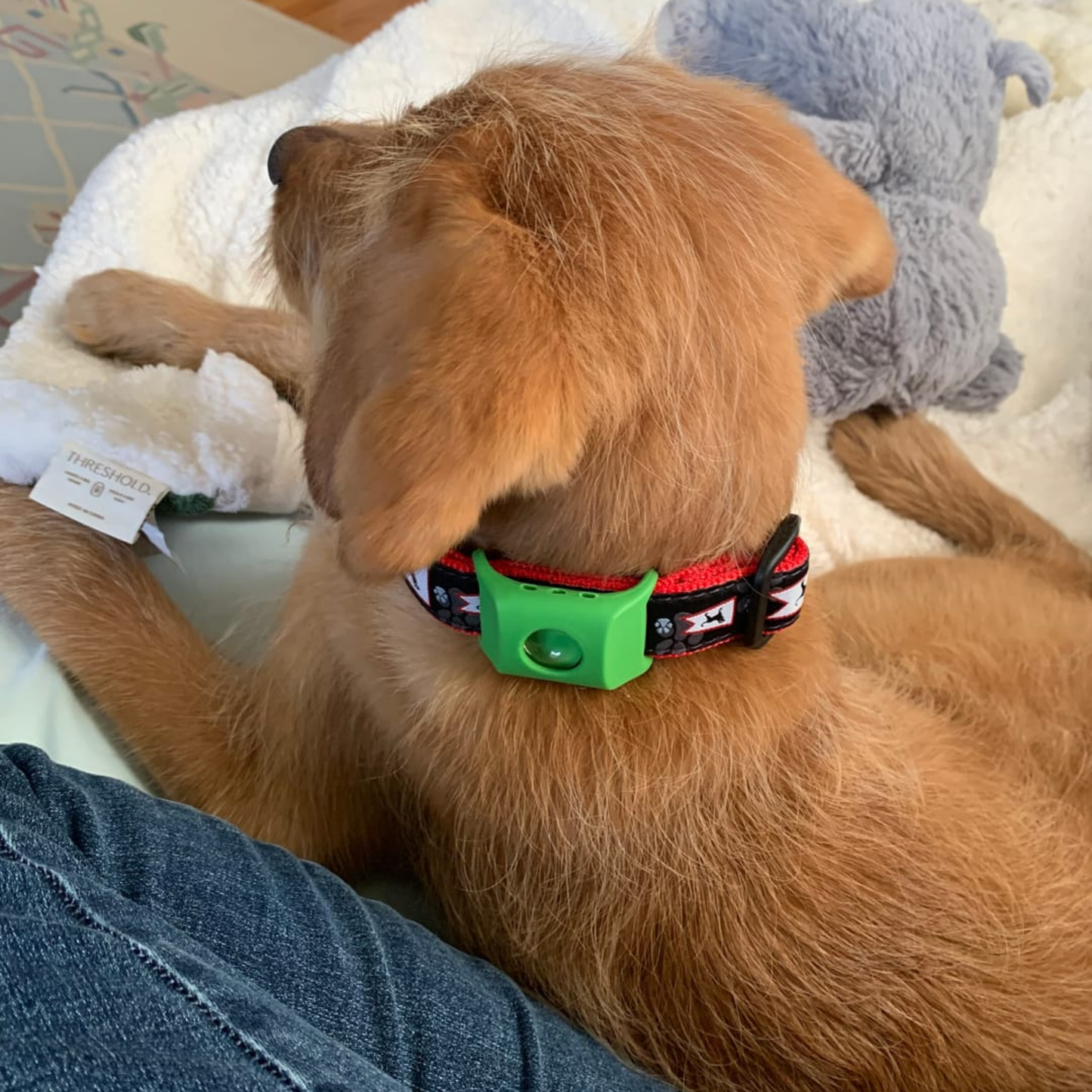 CeroPulgas™ - Collar natural antiparasitario 12 meses para perros