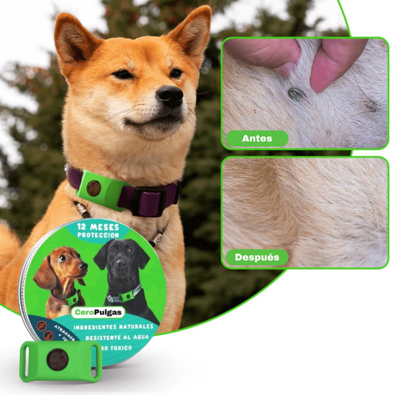 CeroPulgas™ - Collar natural antiparasitario 12 meses para perros