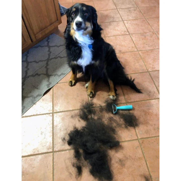 Peluditos Limpios Cepillo