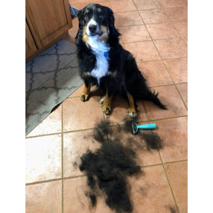 Peluditos Limpios Cepillo
