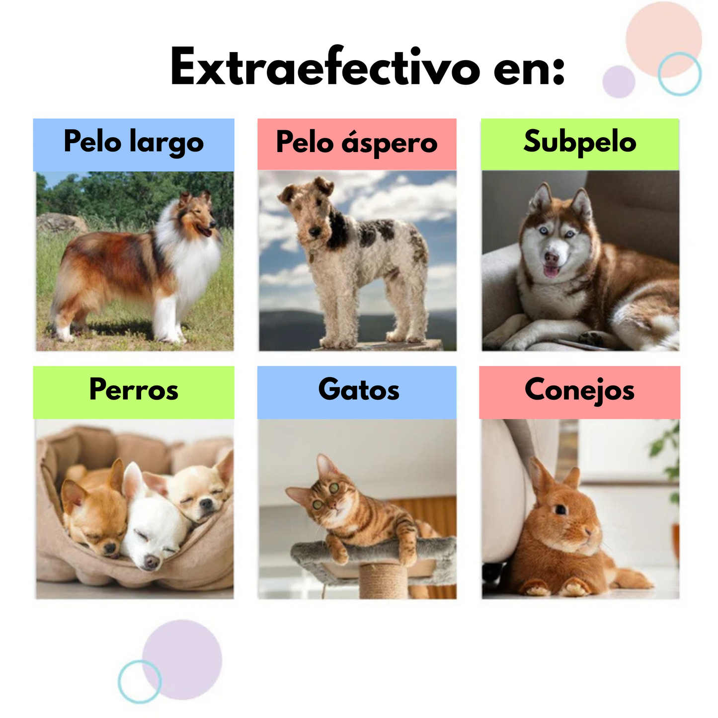 Peluditos Limpios Cepillo